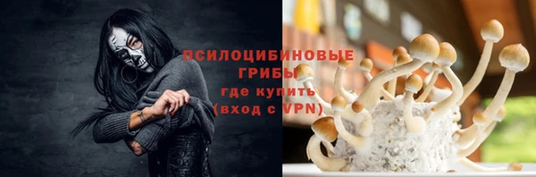 ешки Россошь