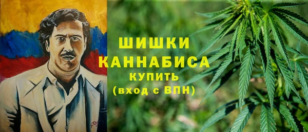 мяу мяу мука Рославль
