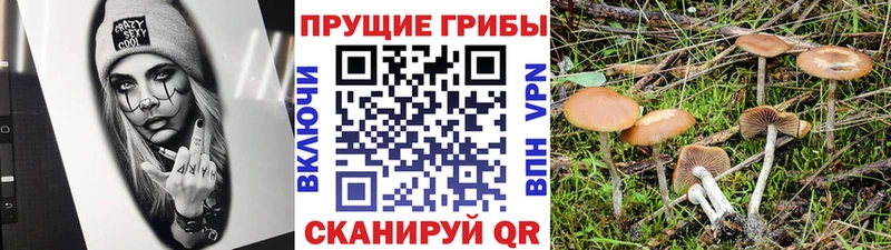 Галлюциногенные грибы мухоморы  Белоусово 